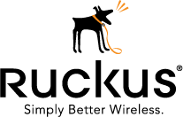 Ruckus Wireless
